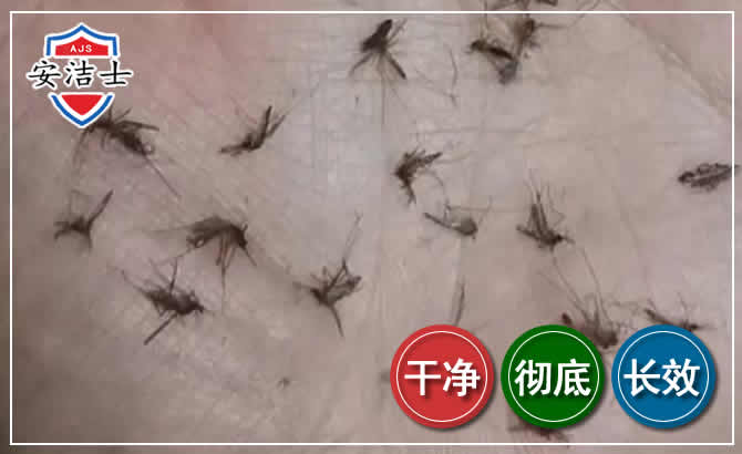象山蚊子防治-灭蚊