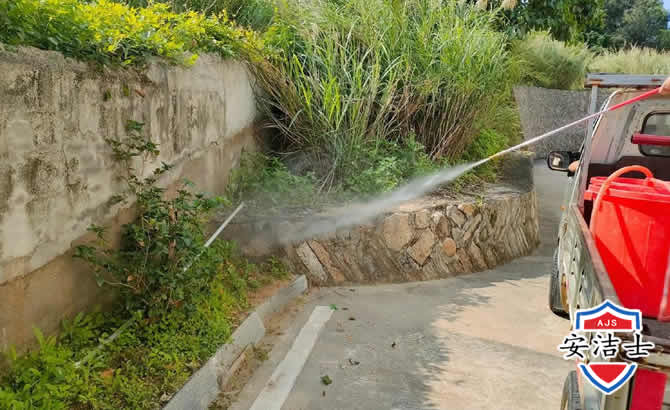 象山道路堤坝白蚁防治