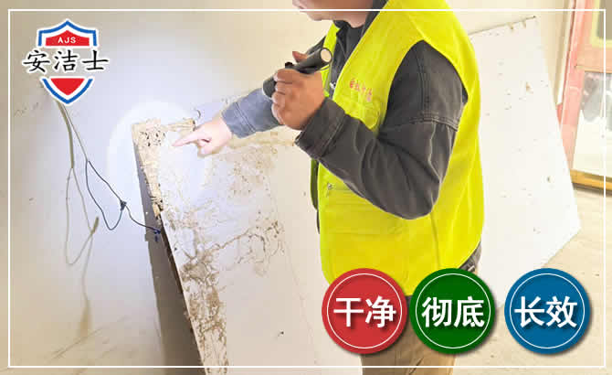 象山除白蚁现场