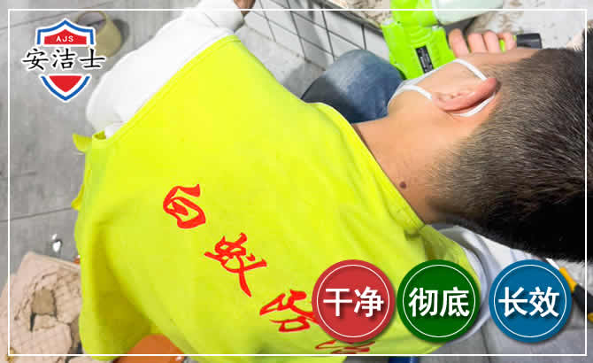 象山白蚁根治现场